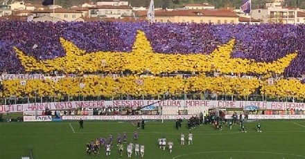 Viola